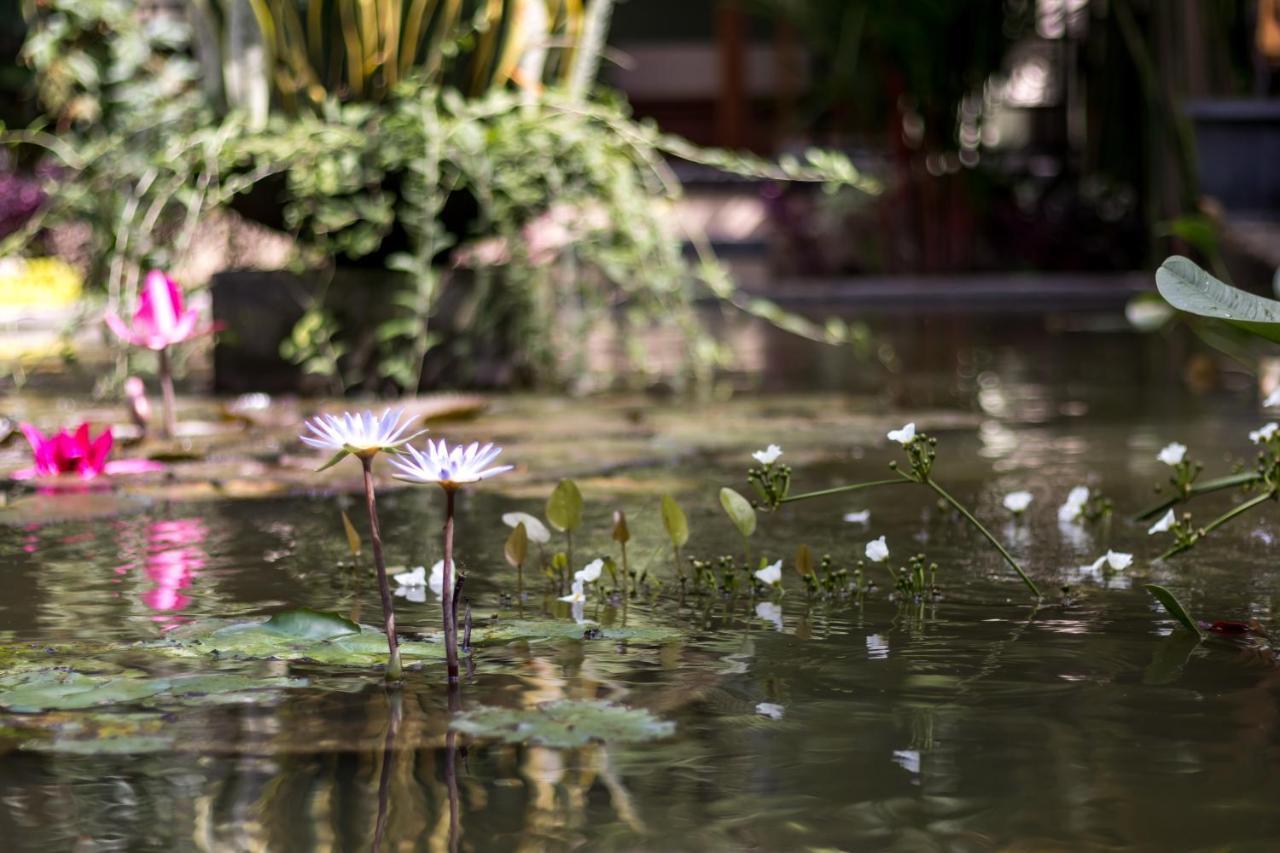 Hidden Padma Retreat Hotel Ubud Buitenkant foto